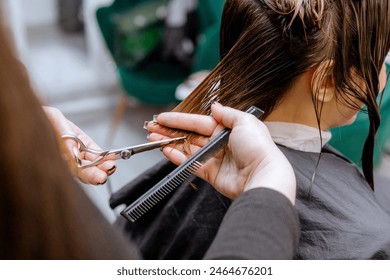 Woman professional hairdresser doing hair styling to client in beauty salon, cutting the ends of the hair, stylist doing hair care procedures - Powered by Shutterstock