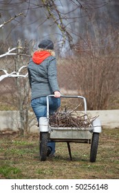 Woman Pulling Barrow In Garden, Early Spring Scene