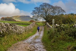 Woman In Purple Jacket And Black Trousers Walks Up Hull Pot And Pen-y-Ghent Near To Horton In Ribblesdale In The Yorkshire Dales