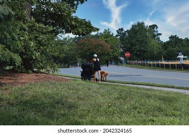 Woman Pushing Stroller While Walking The Dog, Exercise