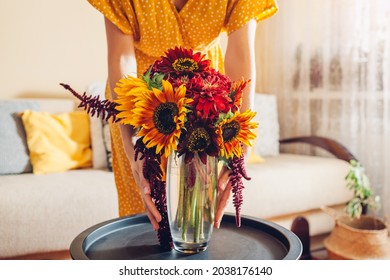 Woman Puts Vase With Yellow Orange Sunflowers And Red Zinnia Flowers On Table. Housewife Takes Care Of Interior And Fall Decor At Home.