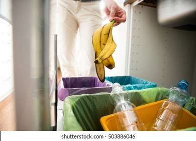 Woman Putting Banana Peel In Recycling Bio Bin In The Kitchen. Person In The House Kitchen Separating Waste. Different Trash Can With Colorful Garbage Bags.