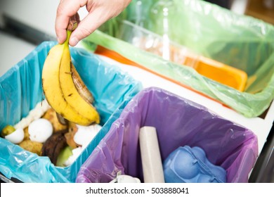 Woman Putting Banana Peel In Recycling Bio Bin In The Kitchen. Person In The House Kitchen Separating Waste. Different Trash Can With Colorful Garbage Bags.