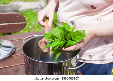 A Woman Putting Leaves Of Lemon Balm - Melissa Officinalis In A Pot To Make A Syrup