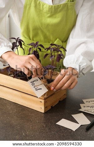 Woman putting paper sheet with name of plant on wooden box