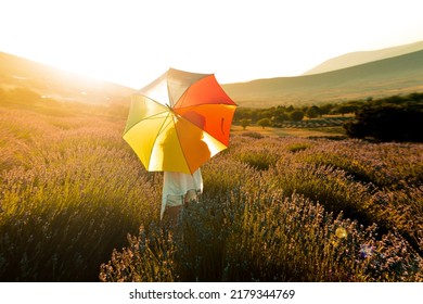 Woman with rainbow-colored umbrella and reverse light in lavender garden