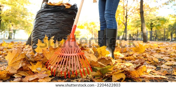 Woman raking autumn leaves\
in park