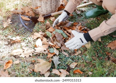 Woman raking leaves on a sunny autumn day. Autumn gardening. Female hands putting autumn leaves into a wicker basket. - Powered by Shutterstock