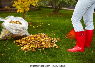 Woman In Red Boots Raking Fall Leaves With Rake.