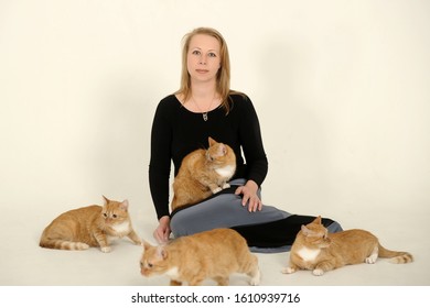 Woman And A Lot Of Red Cats On A White Background In The Studio