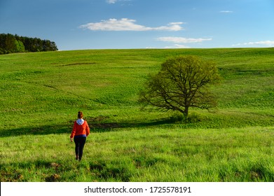 Woman in red walking in spring nature by old oak tree on green meadow