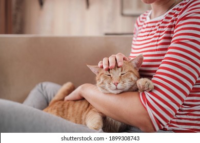 Woman Relaxing With Her Ginger Tabby Cat On A Sofa. Cosy Scene, Hygge Concept. Animals And Lifestyle