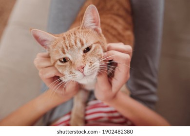 Woman Relaxing With Her Ginger Tabby Cat On A Sofa. Cosy Scene, Hygge Concept. Animals And Lifestyle