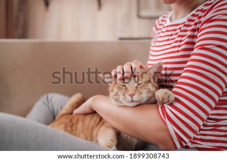 woman relaxing with her ginger tabby cat on a sofa. Cosy scene, hygge concept. Animals and lifestyle