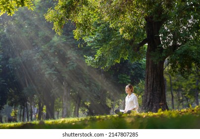Woman relaxingly practicing meditation in the forest to attain happiness from inner peace wisdom with beam of sun light for healthy mind and soul - Shutterstock ID 2147807285