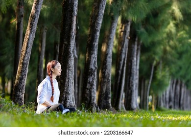 Woman Relaxingly Practicing Meditation In The Pine Forest To Attain Happiness From Inner Peace Wisdom For Healthy Mind And Soul