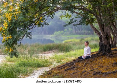 Woman Relaxingly Practicing Meditation In The Public Park To Attain Happiness From Inner Peace Wisdom Under Yellow Flower Blossom Tree In The Summer