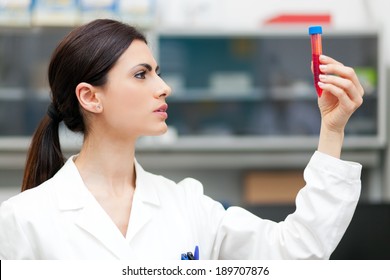 Woman Researcher Doing A Blood Test In A Laboratory