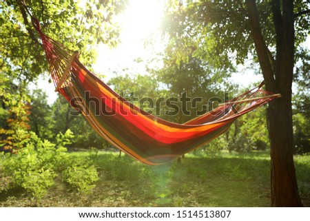 Foto Bild Young woman relaxing in a hammok