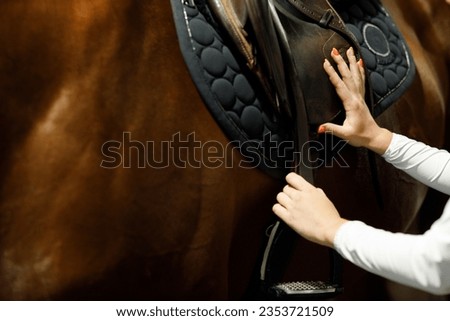 Woman rider jockey at stable preparing puts on the saddle on horse racing or jumping competition