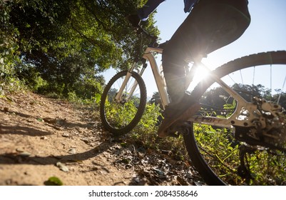 Woman Riding Bike In Sunrise Forest