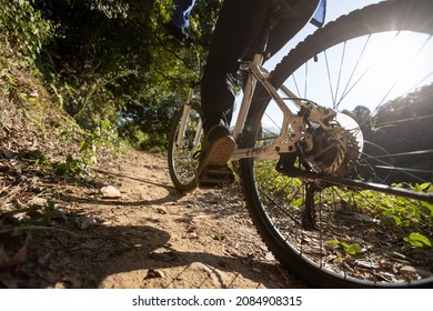 Woman Riding Bike In Sunrise Forest