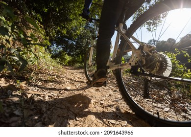 Woman Riding Bike In  Sunrise Forest