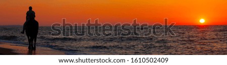 Woman riding a horse on the beach at sunset.