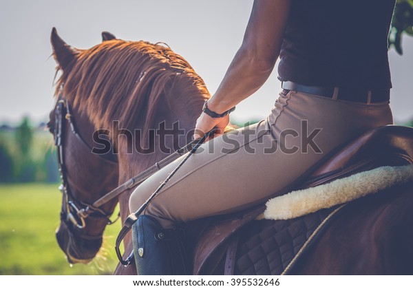Woman riding on a brown horse