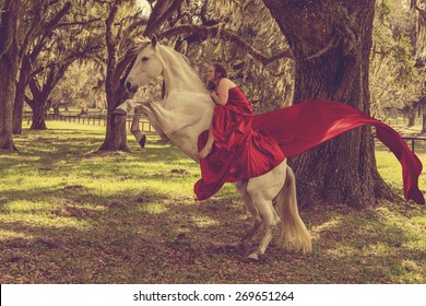  Woman Riding White Azteca Horse 