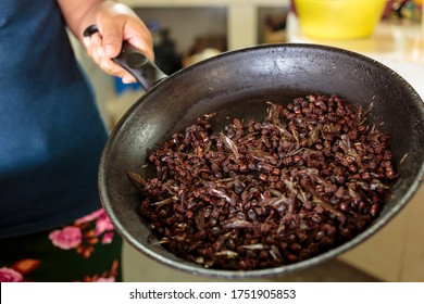 A woman roasts flying ants called Chicatanas on a pan, in a traditional Oaxacan kitchen. These insects are seasonal delicacy that add flavour and flocklore to Oaxaca's traditional, milenary gastronomy
