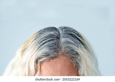 Woman Roots Gray Hair Dye Blonde Hair Show Roots Light Background Hands