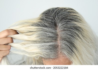 Woman Roots Gray Hair Dye Blonde Hair Show Roots Light Background Hands