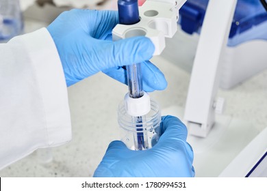 Woman In A Rubber Gloves Holding A Glass Electrode For Measuring Of PH Of The Solution Using PH Meter. Analytical Or Electro Chemistry Laboratory. 