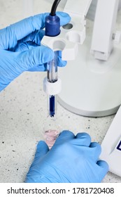 Woman In A Rubber Gloves Holding A Glass Electrode For Measuring Of PH Of The Solution Using PH Meter. Analytical Or Electro Chemistry Laboratory. 