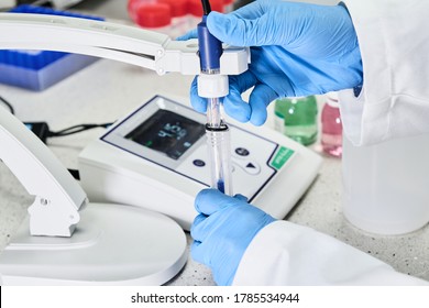 Woman In A Rubber Gloves Holding A Glass Electrode For Measuring Of PH Of The Solution Using PH Meter. Analytical Or Electro Chemistry Laboratory. 