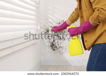 Woman in rubber gloves using mold remover and brush on wall in room, closeup