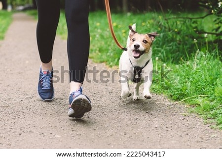 Woman running with dog to workout during morning walk