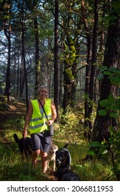 Woman In Safety Vest Walking Dogs In The Forest Of South France