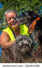 Woman In Safety Vest Walking Dogs In The Forest Of South France