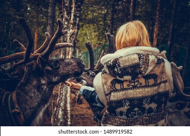 Woman In Sami Clothes Feeds Reindeer