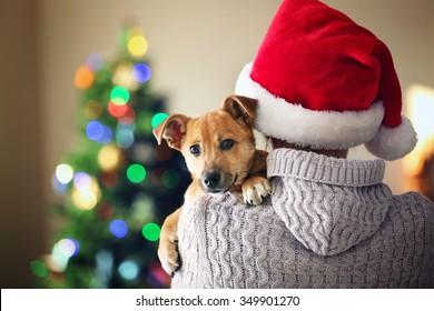 Woman Santa Hat Holding Shoulder Small Stock Photo 349901270 | Shutterstock
