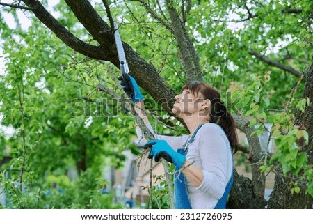 Woman sawing dry branches on a tree in garden