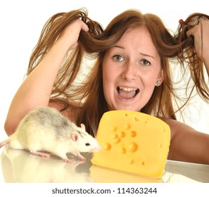 Woman Scared By Rat, Rat Eating Cheese, Isolated On White