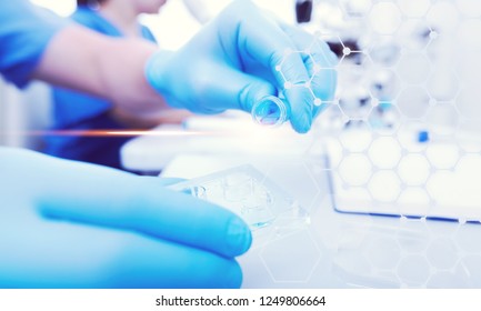 Woman Scientist Take Test Tube In The Laboratory