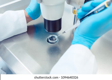 Woman scientist working with pipette in laboratory dripping egg cell in solution 