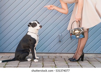 Woman Scolding Dog On City Street