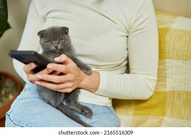 Woman With Scottish Kitten On The Sofa With Phone, Chatting Using Smartphone, Types Message, Pet And Owner Communication, Human And Animal Friendship.