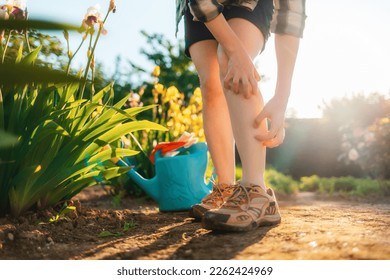 Woman scratches her leg, which is itchy from a mosquito bite. Close up of legs. Summer garden on the background. Allergies and insect bites concept.