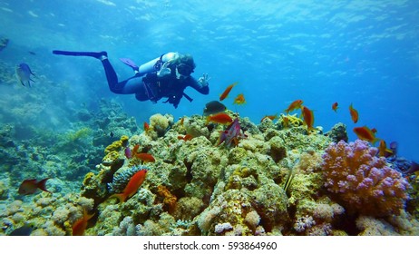 550 Great barrier reef space Images, Stock Photos & Vectors | Shutterstock